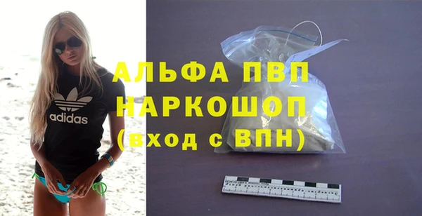 прущие грибы Струнино