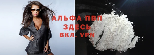 прущие грибы Струнино