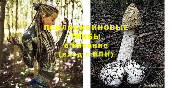 дживик Ступино