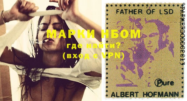 прущие грибы Струнино